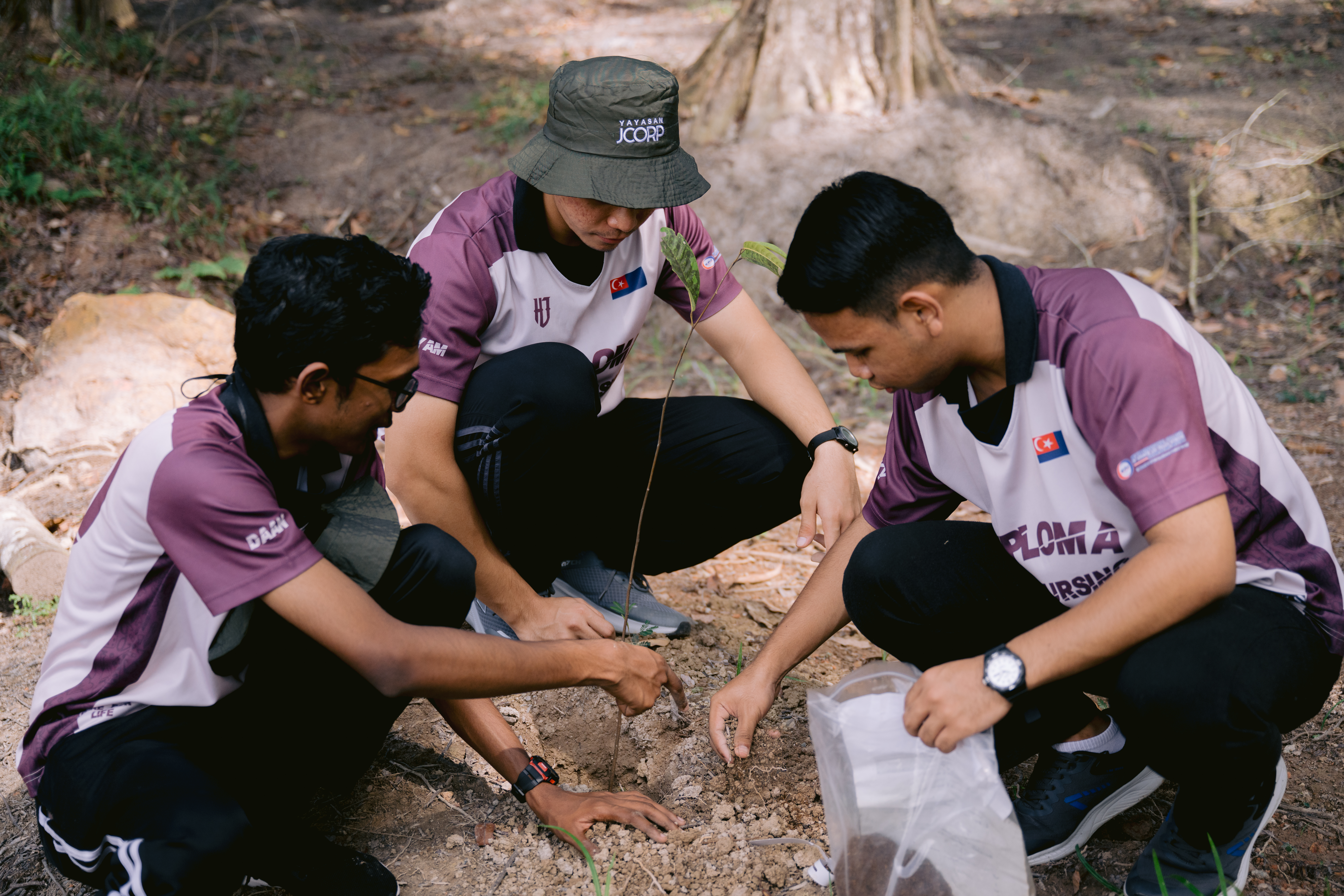 Tree Planting Initiatives