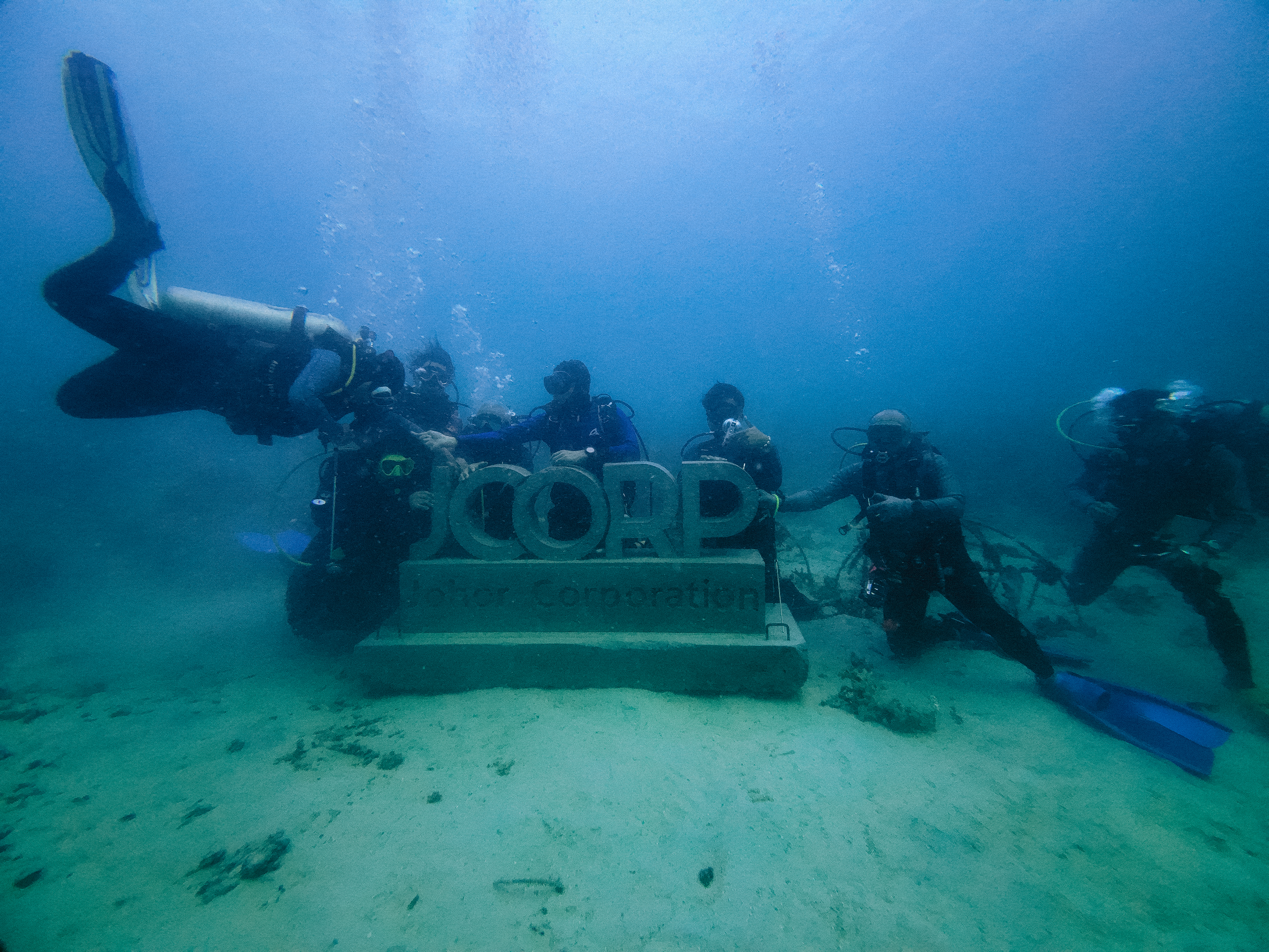 Coral Rehabilitation Programme