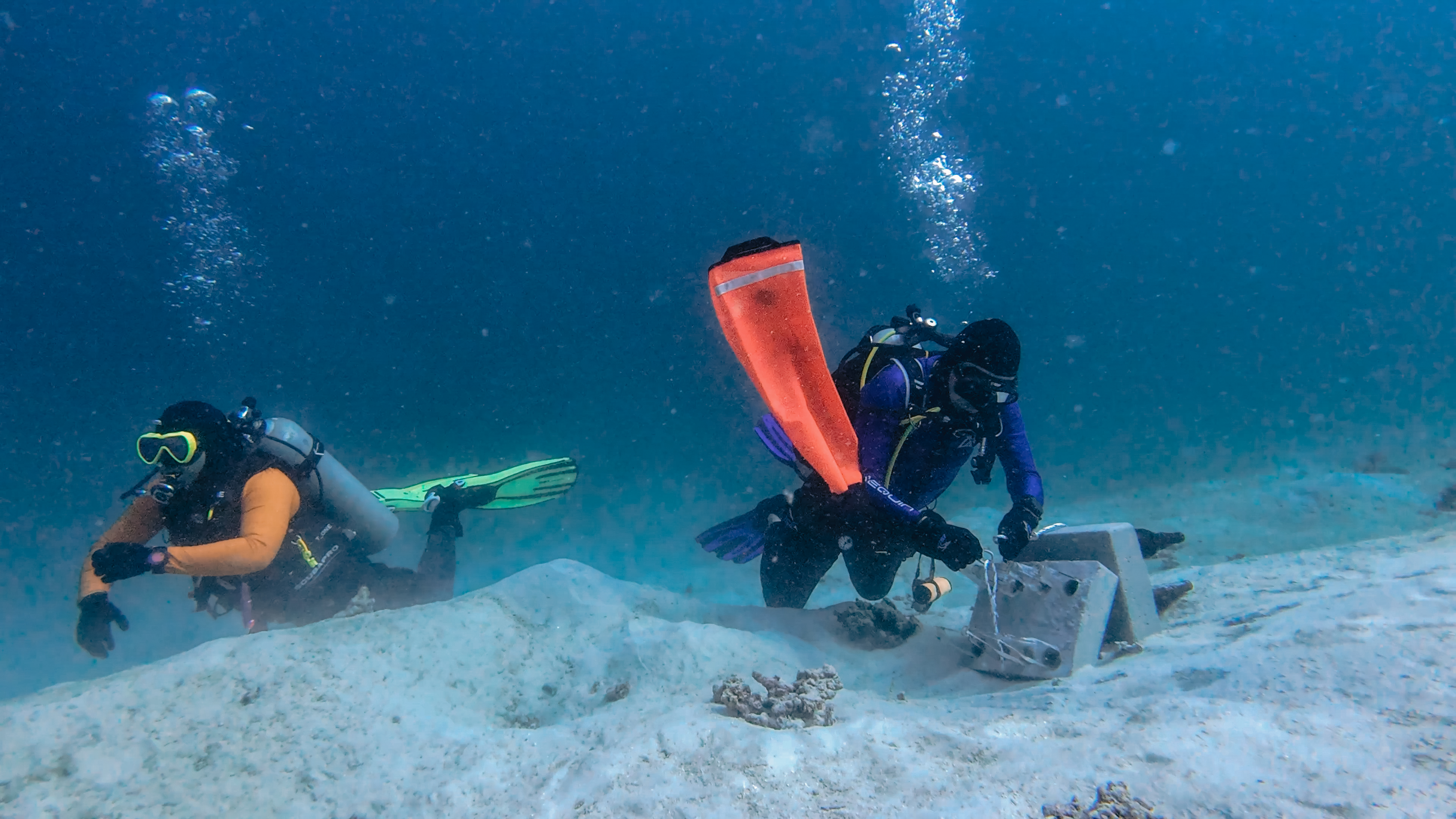 Coral Rehabilitation Programme