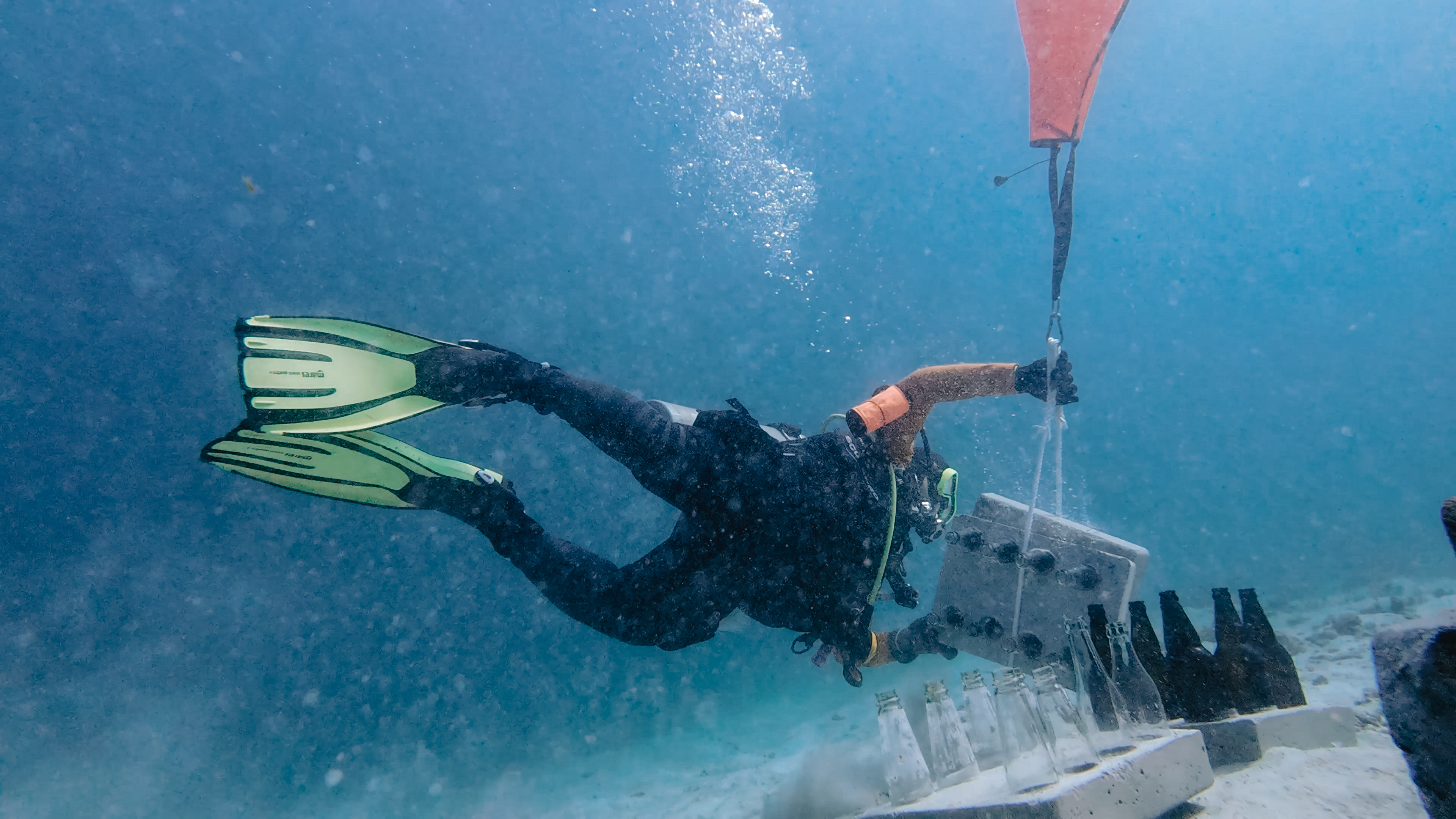 Coral Rehabilitation Programme