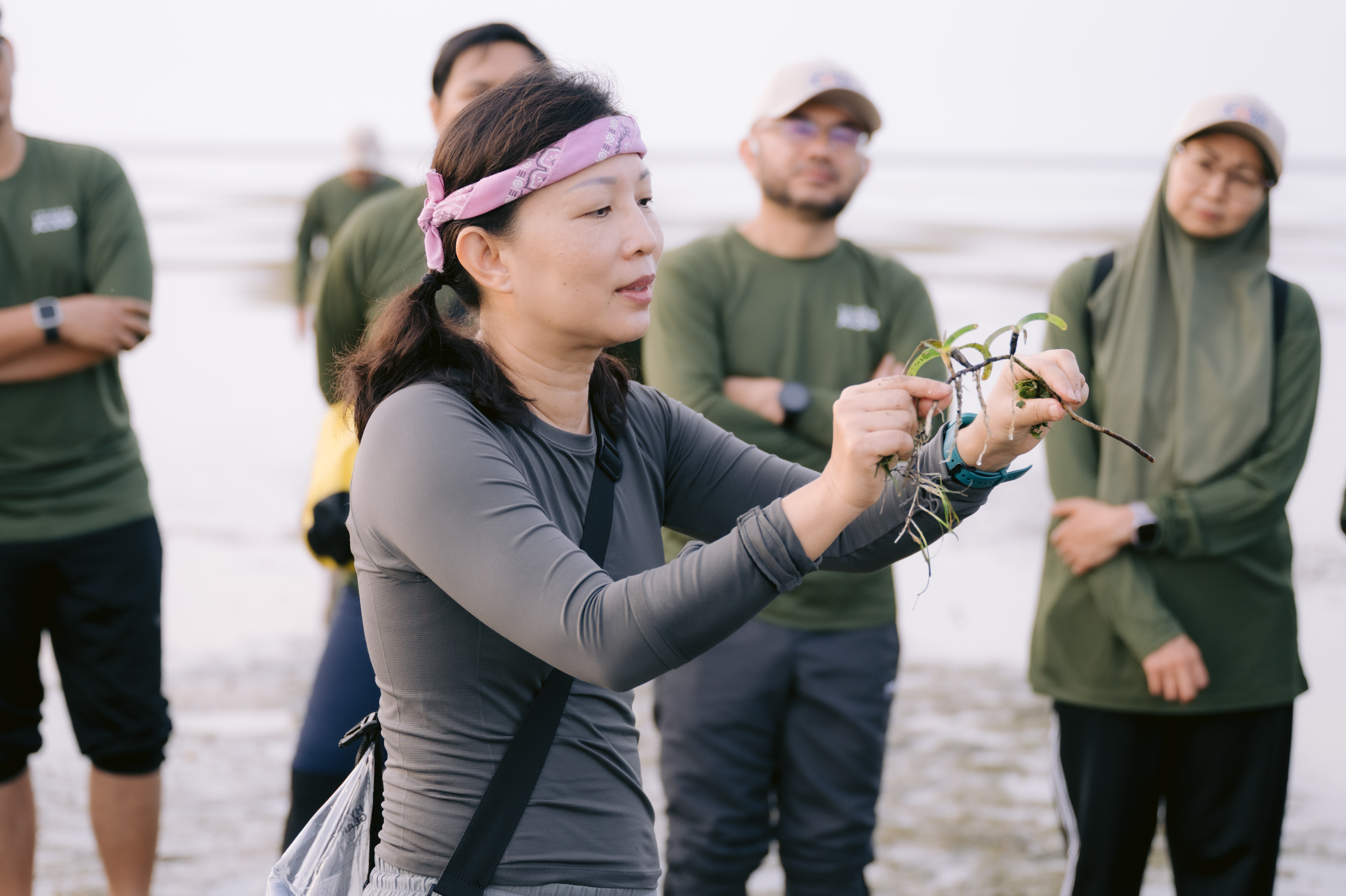 Seagrass Ecotourism Experience