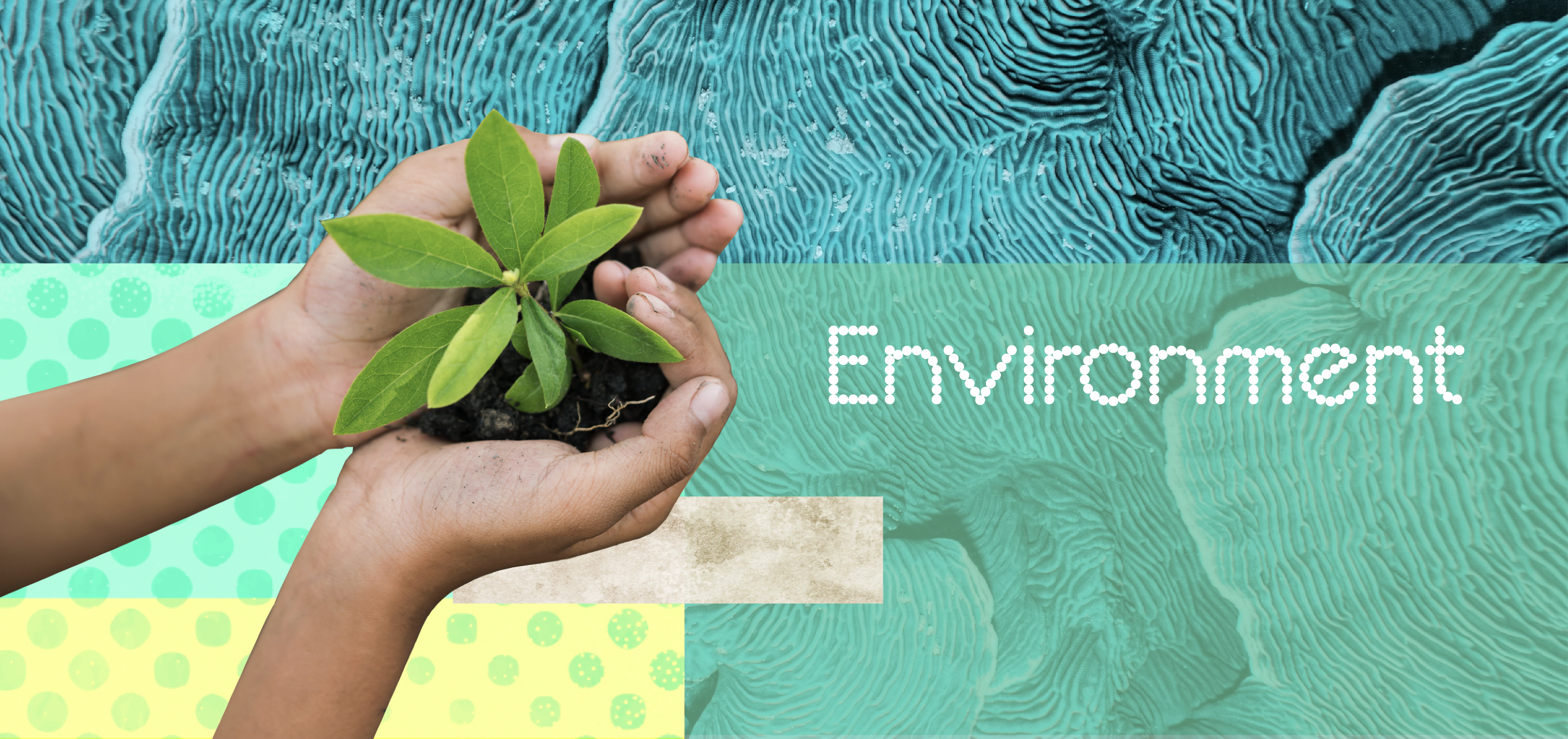 Environment Banner