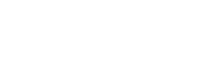 Governance Framework