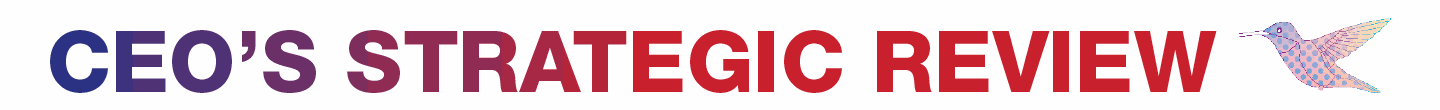ceo stategic review