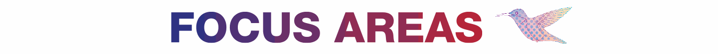 focus area